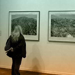 IMG Programa_Exposiciones